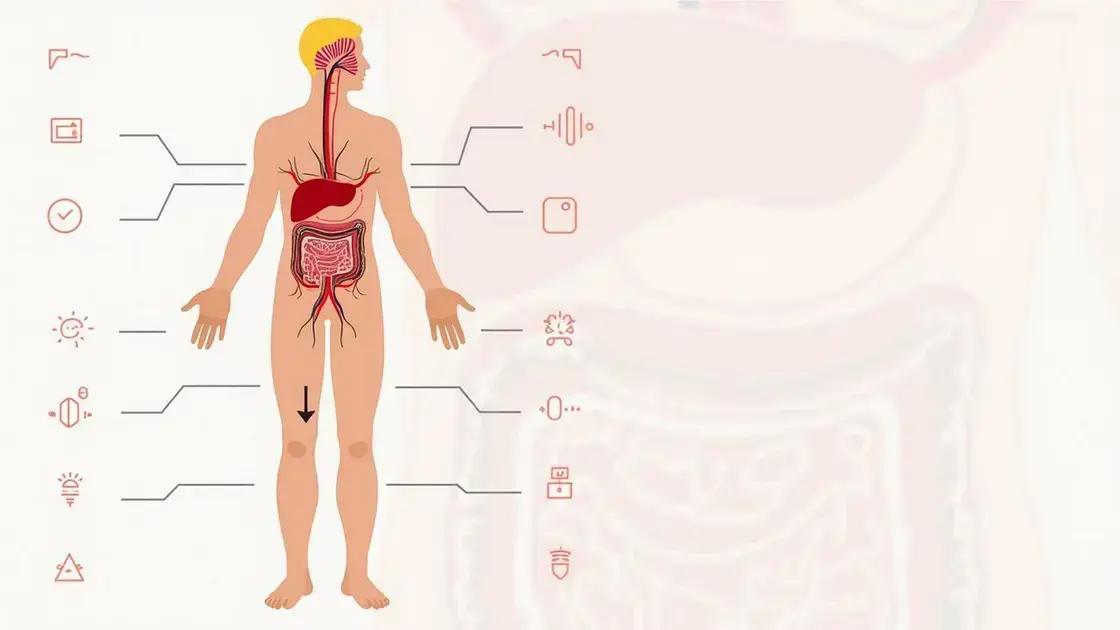 How Blood Circulation Affects Health