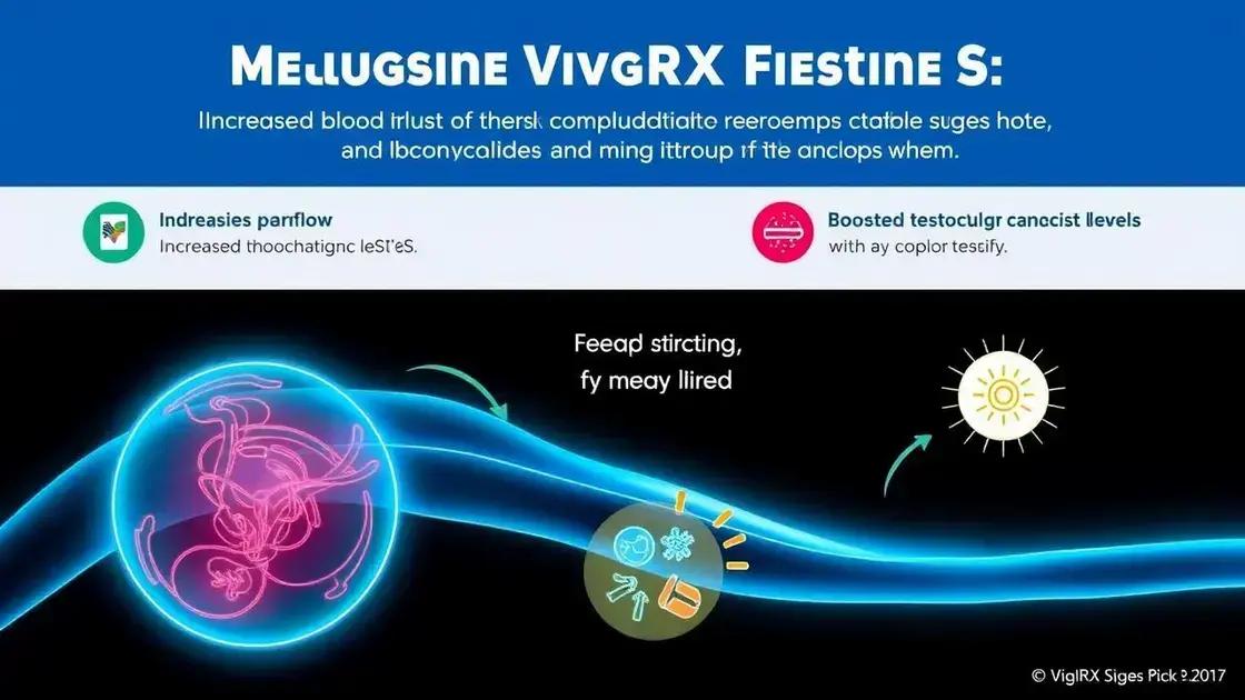 How Does VigRX Plus Work?