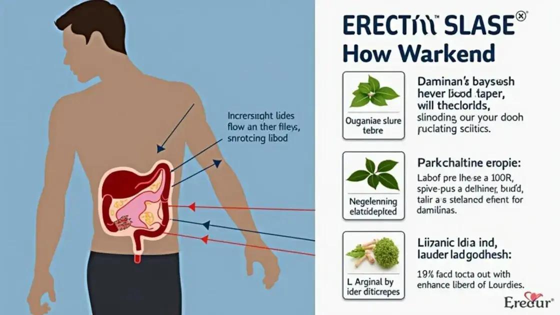 How Erectin works