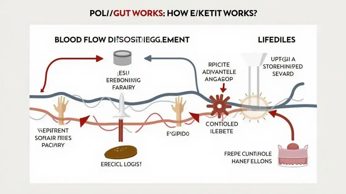 How Erectin Works for Erectile Dysfunction
