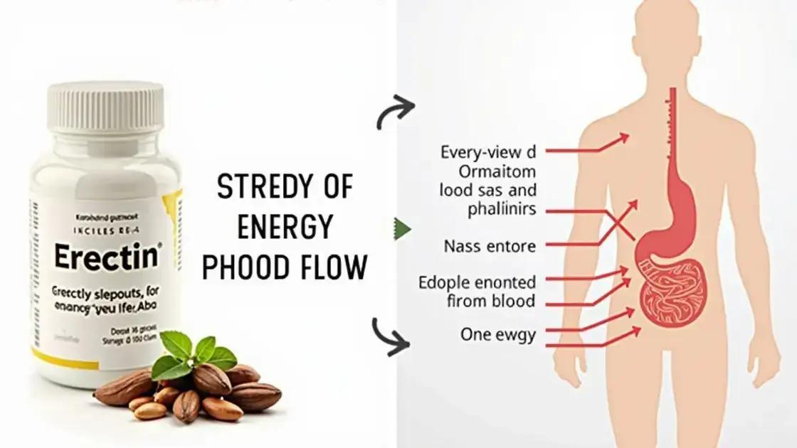 How Erectin Works
