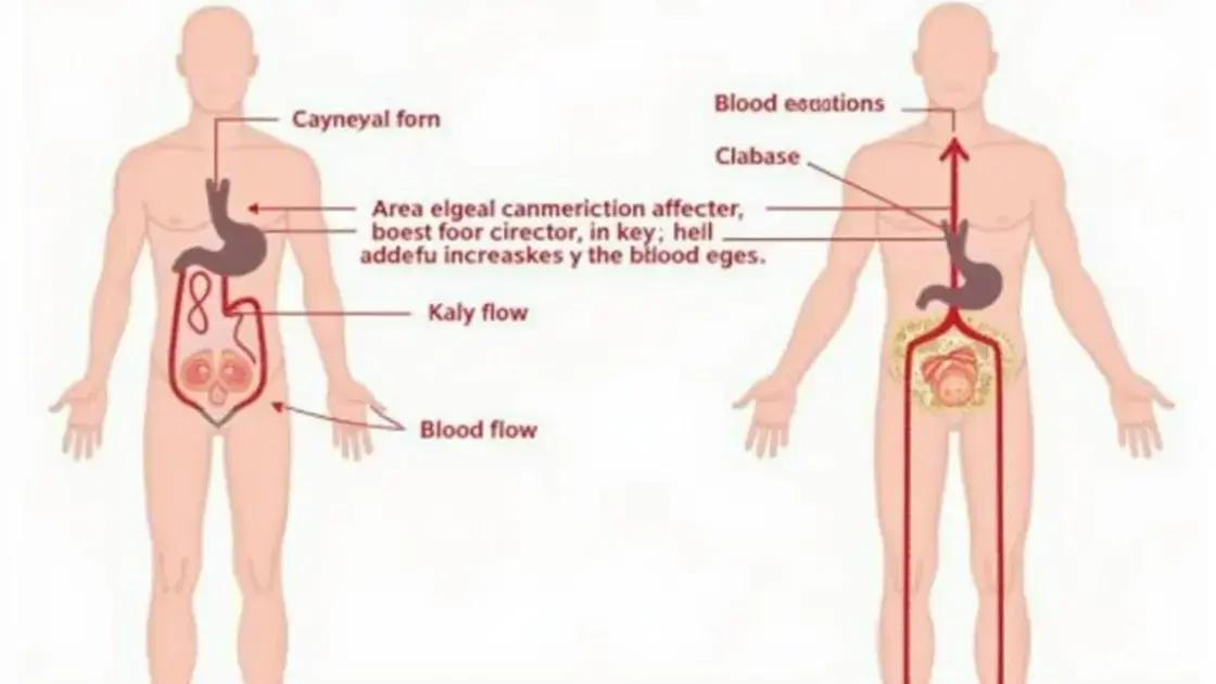 How Male Extra Affects Blood Flow and Erection Quality