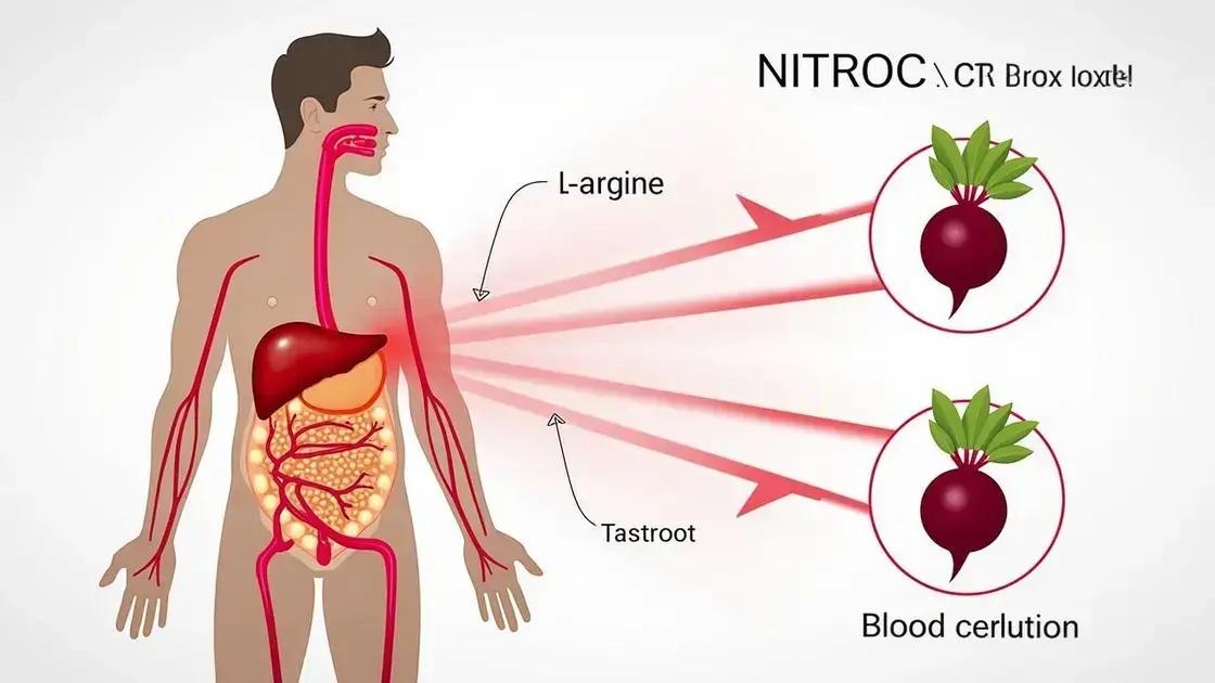 How Nitrox Pro Works