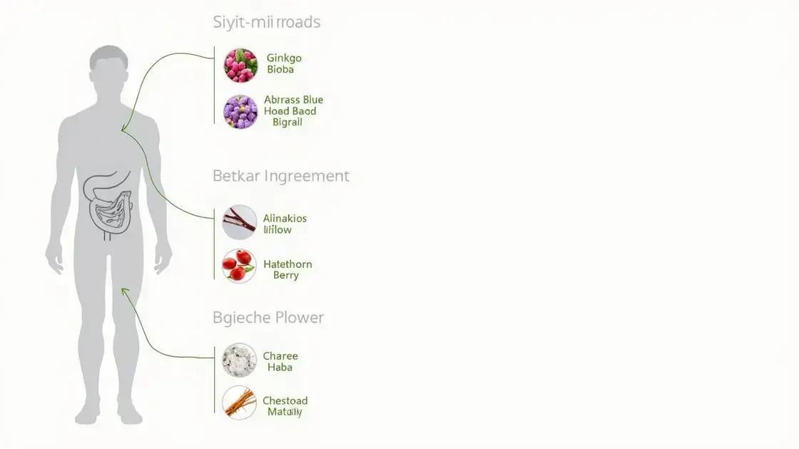How VigRX Plus Affects Blood Flow