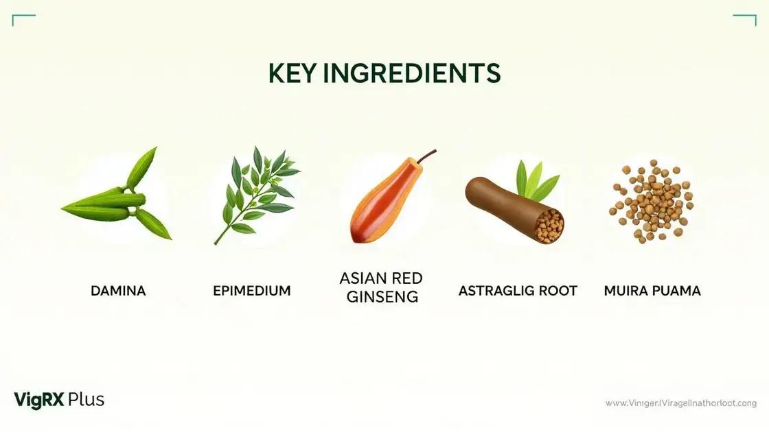 Key Ingredients Supporting Men