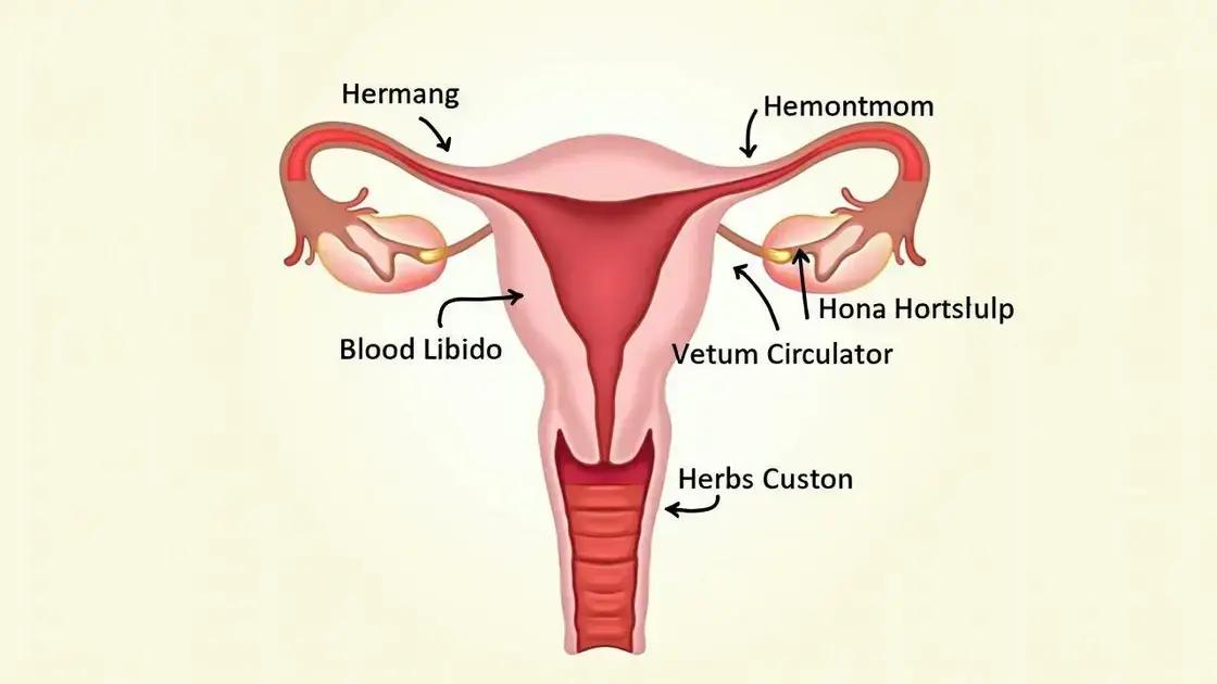 The Science Behind Libido Enhancement