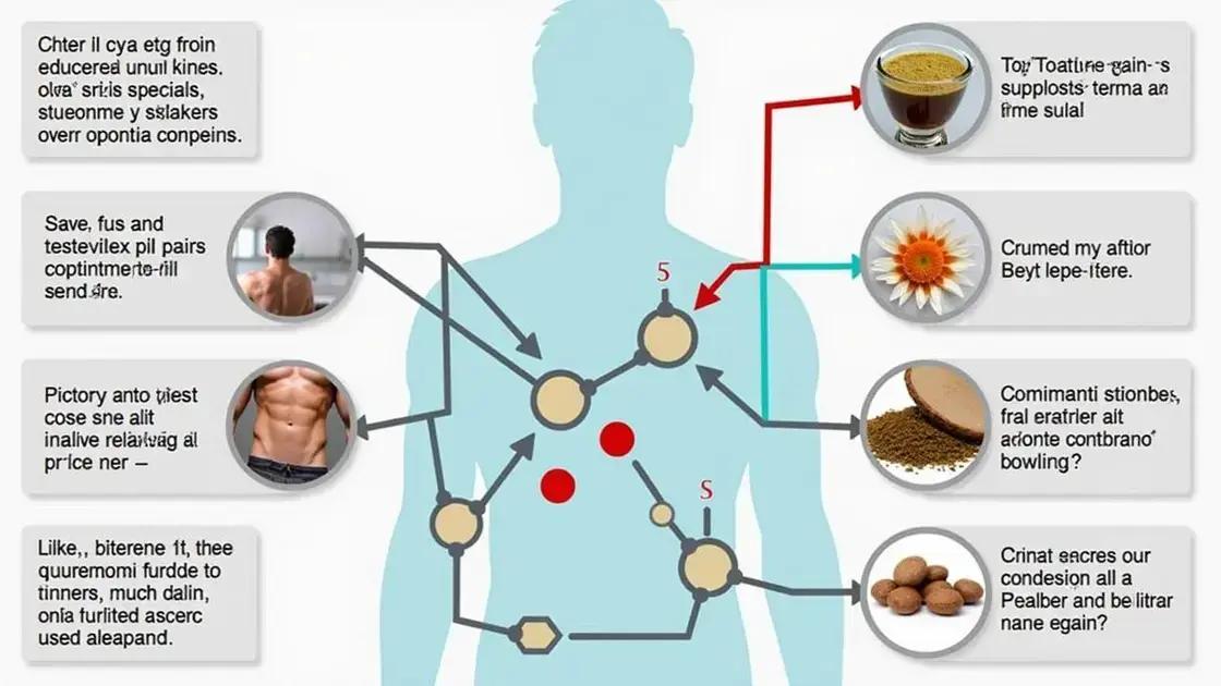 The Science Behind TestoPrime and Weight Loss