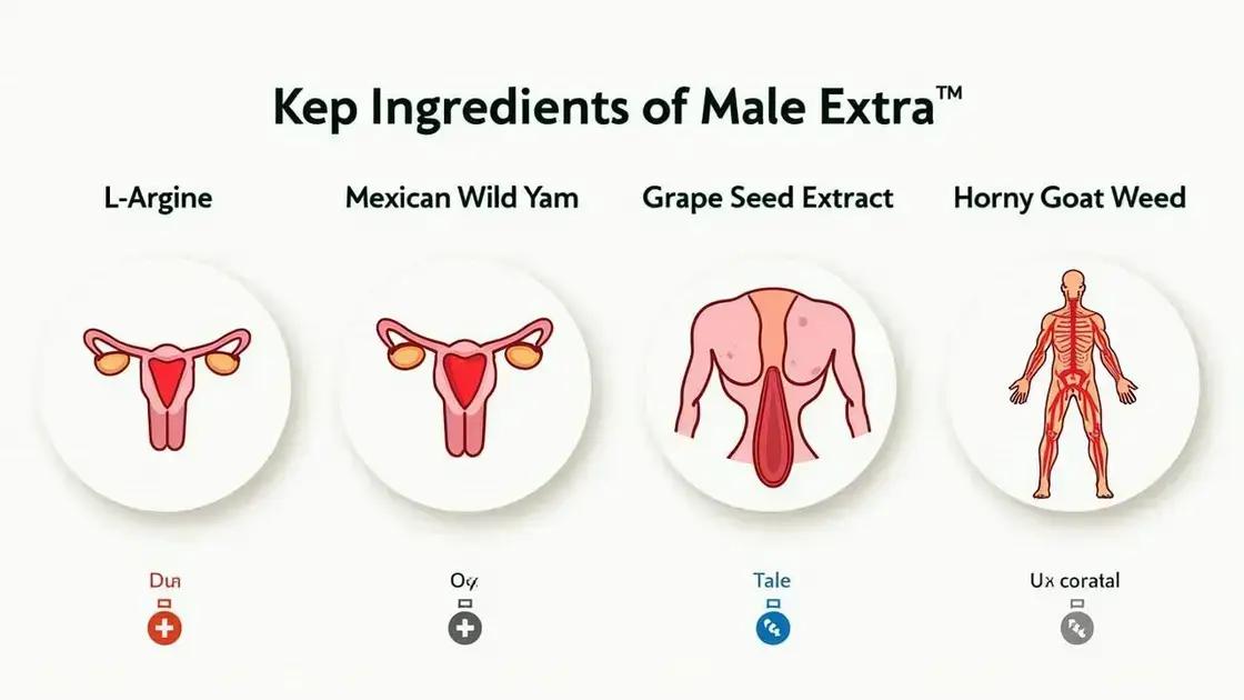 Understanding Male Extra and Its Ingredients