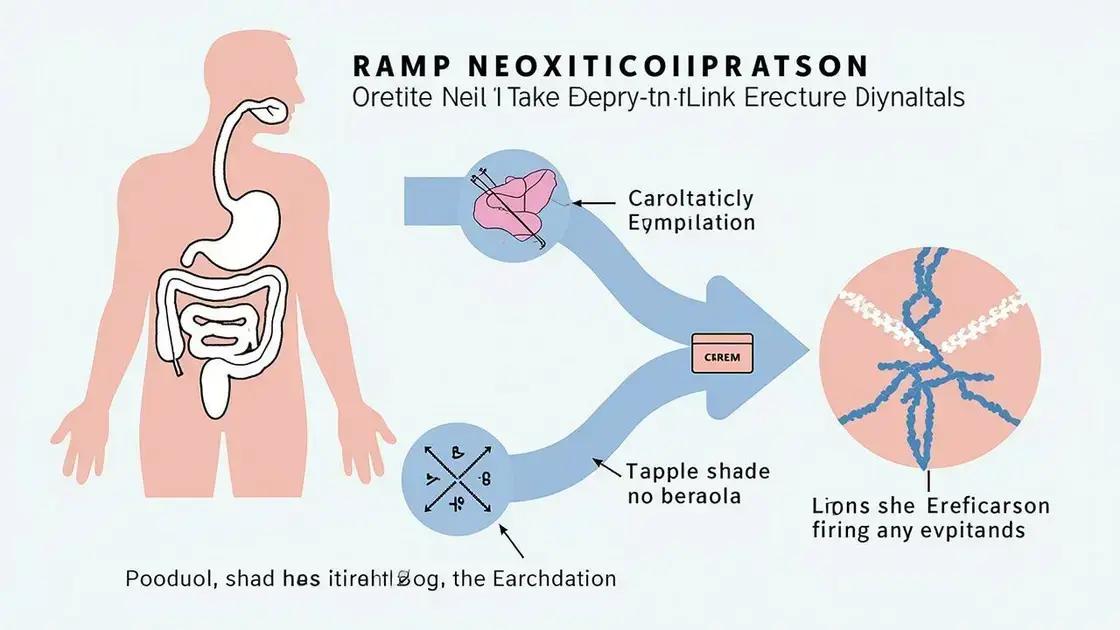 Links Between Gut Health and ED