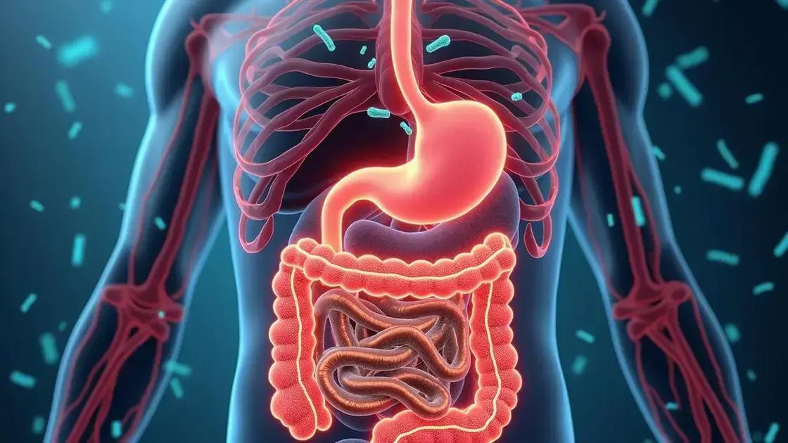 The Role of Gut Bacteria