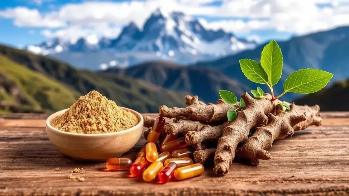 Understanding Maca Root